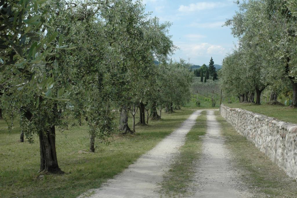 Agriturismo Tenuta La Pergola Bardolino Luaran gambar