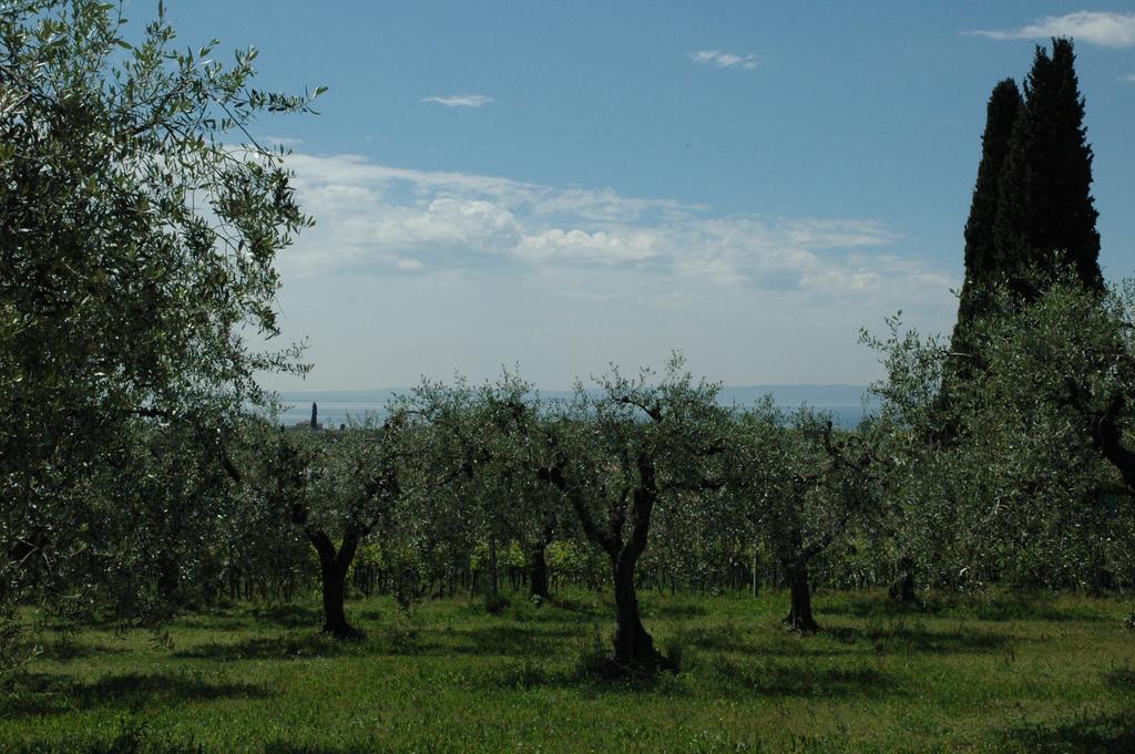 Agriturismo Tenuta La Pergola Bardolino Luaran gambar
