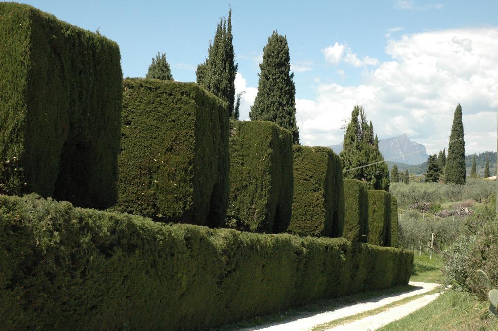 Agriturismo Tenuta La Pergola Bardolino Luaran gambar