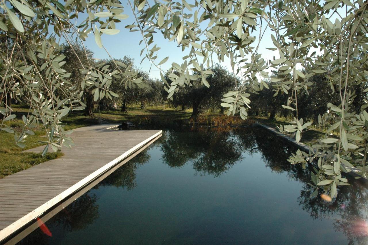 Agriturismo Tenuta La Pergola Bardolino Luaran gambar